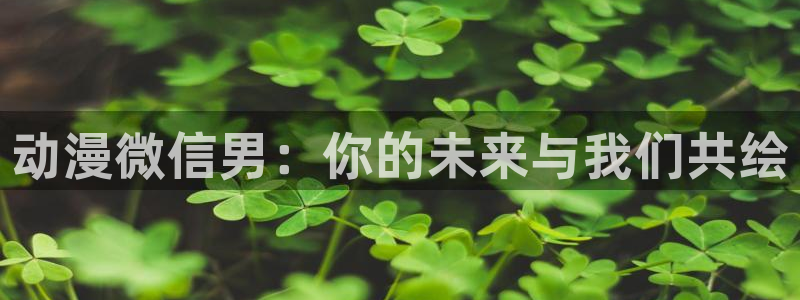 acg动漫岛