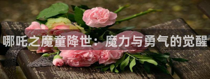 动漫岛网官网：哪吒之魔童降世：魔力与勇气的觉醒